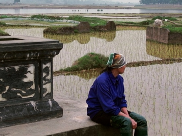 A person sitting on a ledge facing away, in front of a landscape of rice fields and a river.