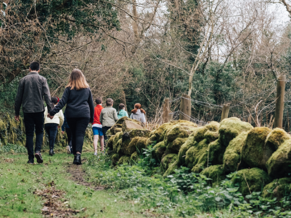 Wildlife Walk - A beginner's guide to species spotting with CEDaR