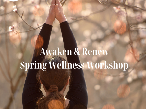 Awaken & Renew Workshop