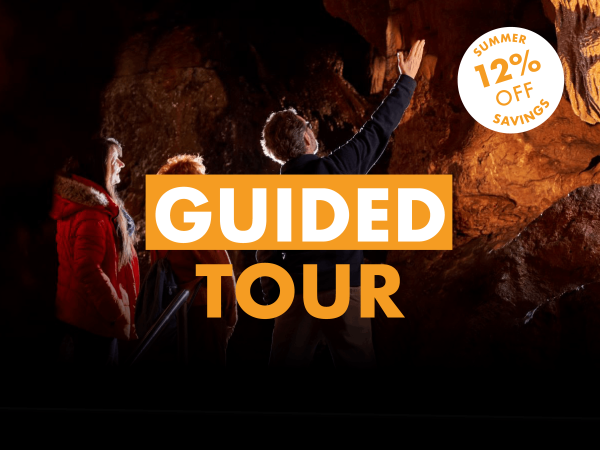 Guided Tours