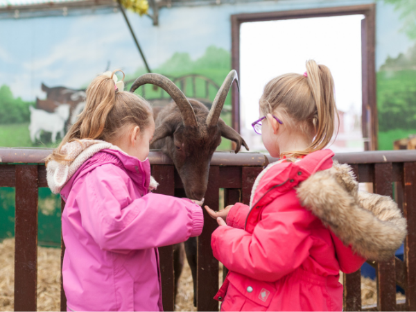 Farm Fun Visit Meet & Greet - 2026/2027