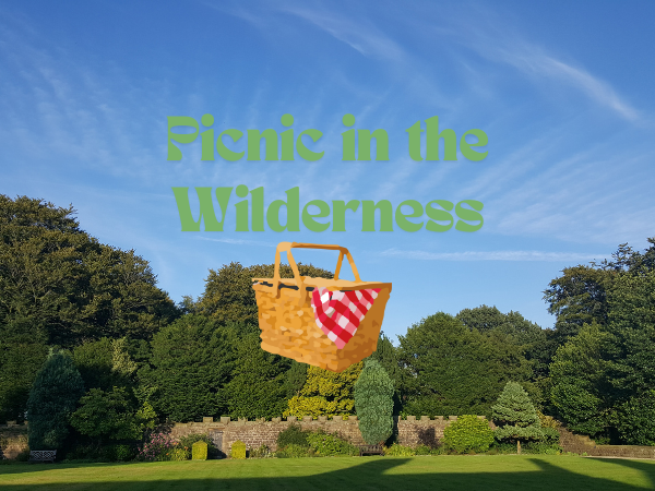 Picnic in the Wilderness