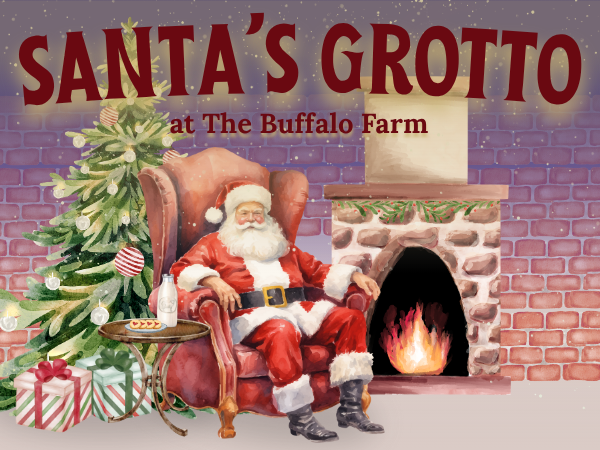 Santa's Grotto at the Buffalo Farm