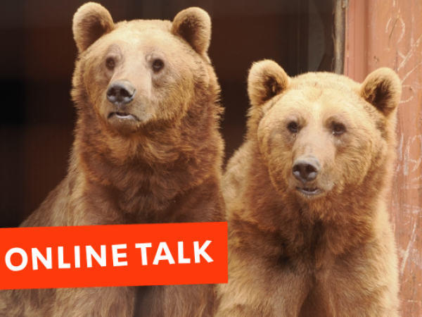 Online Talk - The rescue that made history: Benji & Balu - The Whole Story