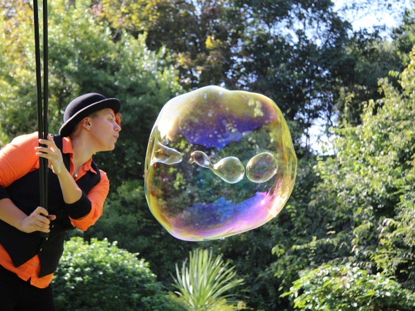 Bubbleology
