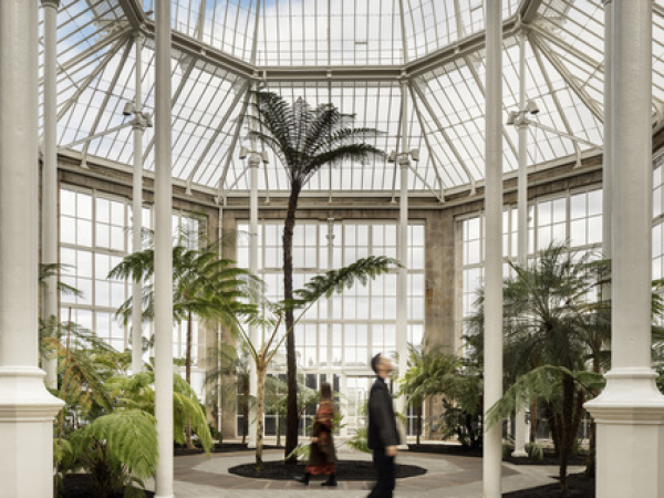 Talk: Plants of the Palm Houses