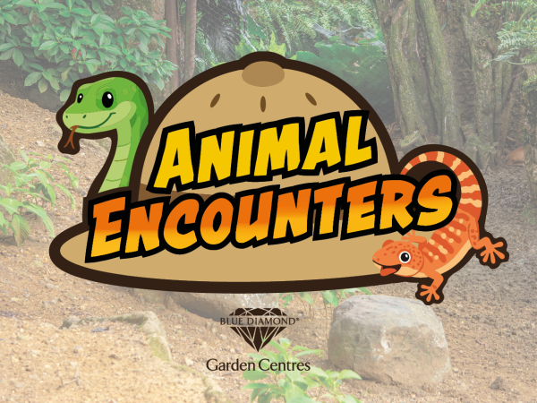 Animal Encounters at Barton Grange