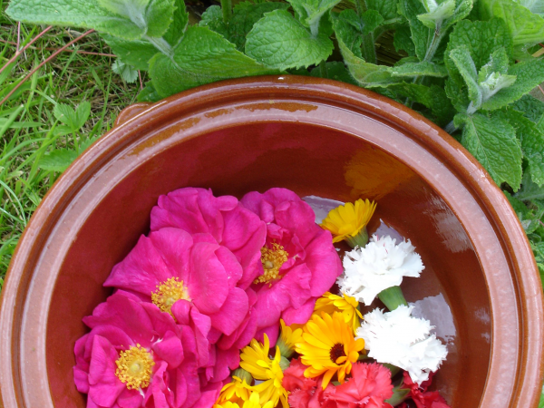 Herbs for Health: Healing Physical and Emotional Wounds