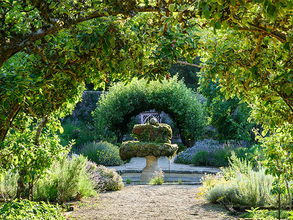 Private Champagne Tea Tour 2026