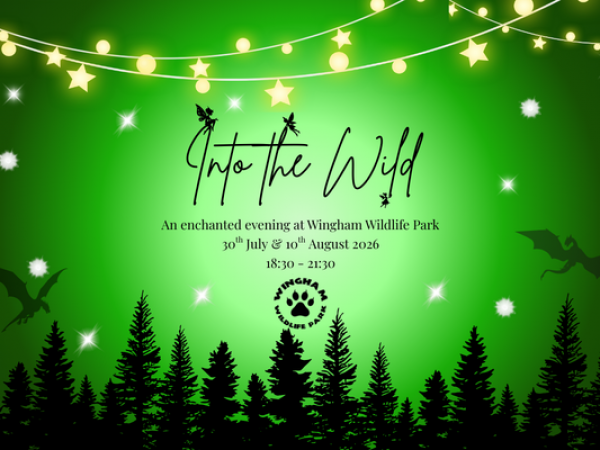 Into the wild - an enchanted evening