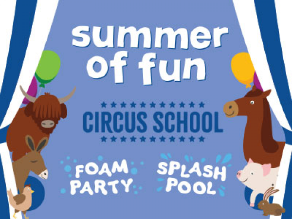 Summer of Fun