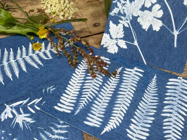 Botanical Cyanotypes