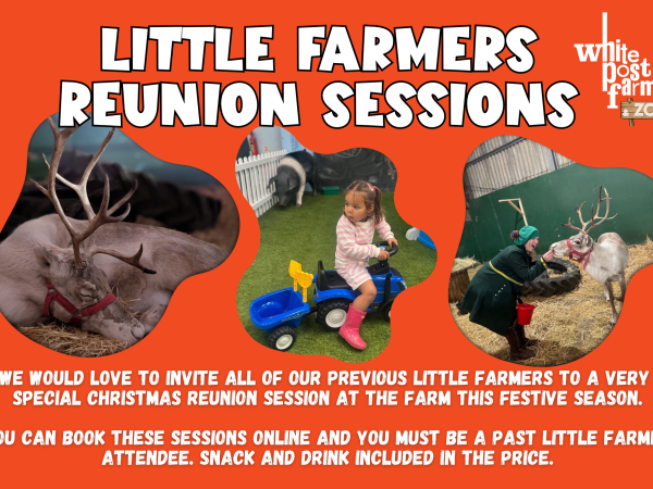 Little Farmers Reunion