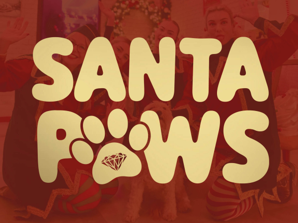 Santa Paws at Woburn Sands
