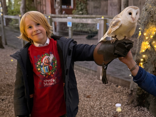 Exclusive Owls by Candlelight