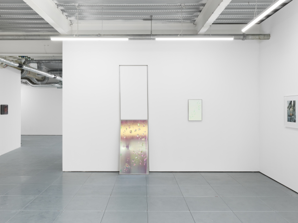 Friends Event - Exhibition Tour at CORPUS with Artist CJ Mahony and Gallerist Jeremy Parker, 2 December 2026