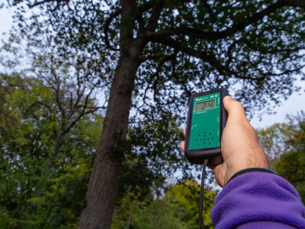 Family Bat Walk - Walton Lake - Tuesday 26 May