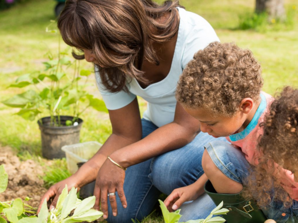 Little green fingers