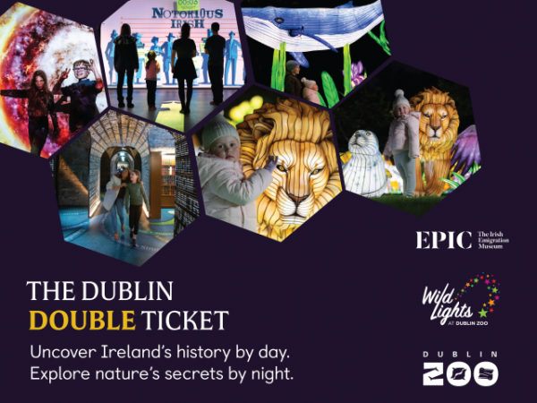 THE DUBLIN DOUBLE TICKET