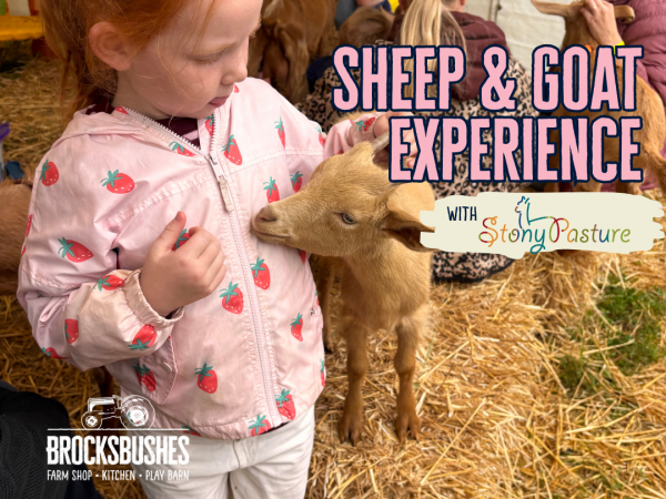Animal Encounters with Stony Pasture (Sheep & Goats)