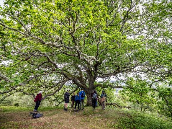 World Gaelic week celebration at Dundreggan