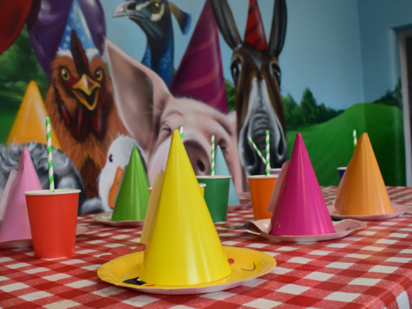 Little Farmer Experience Party