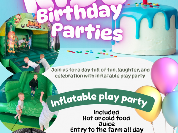 inflatable Play Toddler Party