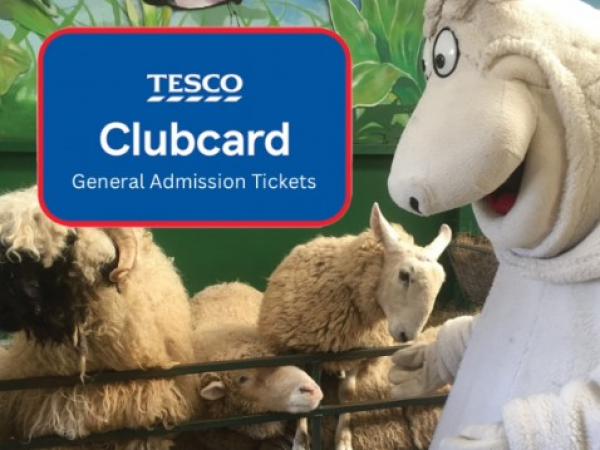 Summer Term Time 1st June - 1st July Tesco Admission