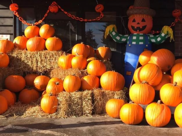 Halloween Spooktacular