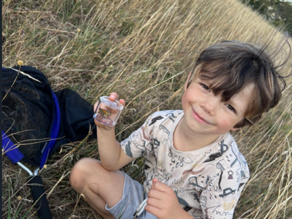Berrow Dunes Butterfly Safari