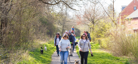 Woof Walk: Lodge Lake