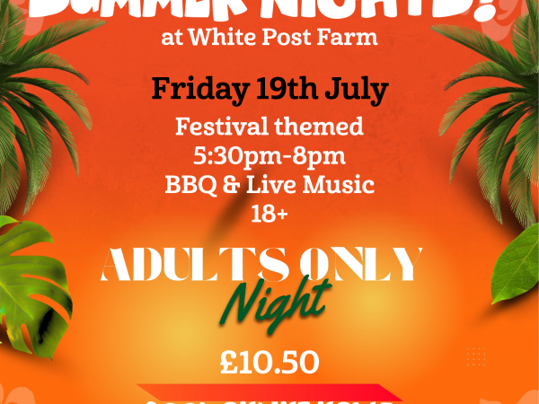 Summer Nights (Adults Only)