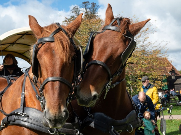 Harvest Weekend 26 & 27 September