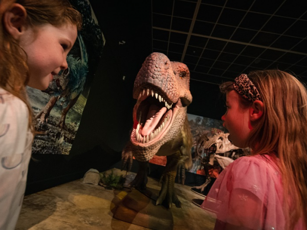 Dinosaur rEvolution