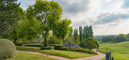 Walk & Talk: Campbell Park and its design