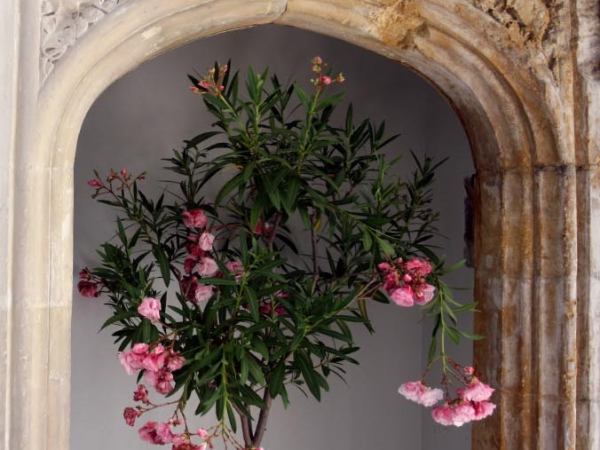 Summer Savings Guided Tour Admission (25 June - 1 Sept 2026)