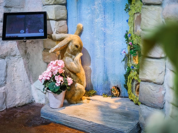 Summer Saver General Admission (25 June - 1 Sept )