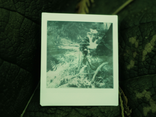 Alchemy Film Festival - The Dreams of Fishes - 10:00 03/05/26 (Wheelchair space)