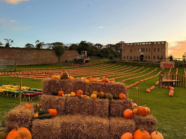 Adult Only Pumpkin Fest 2025