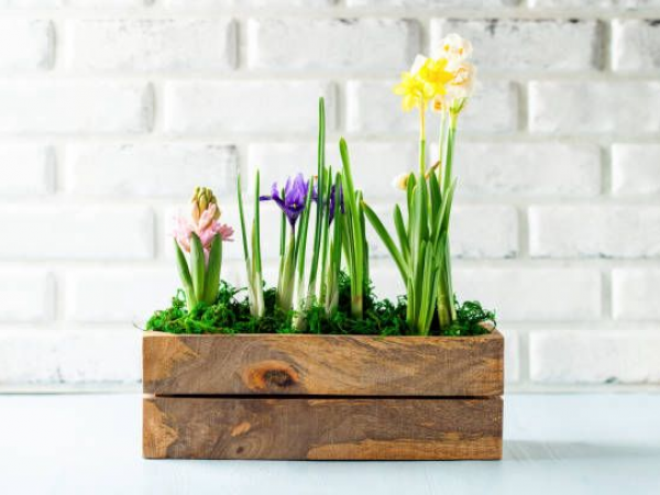 Create a Spring Planter with Periwinkle Barn
