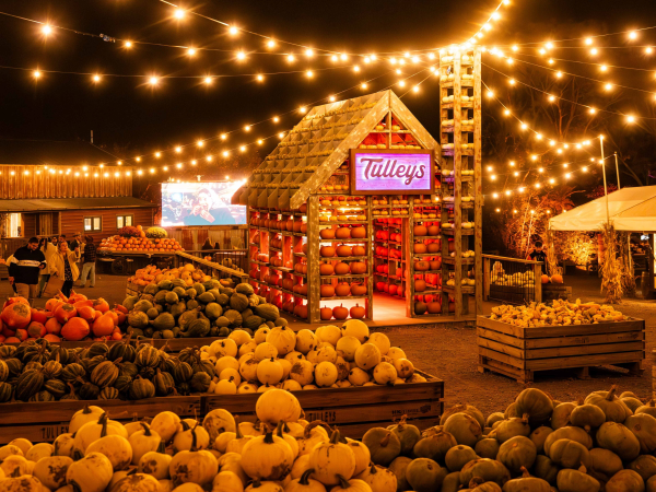 PUMPKIN NIGHTS 2026