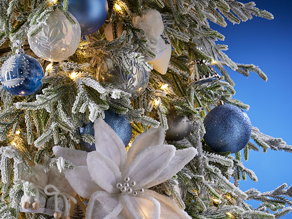 Christmas Preview - Premium