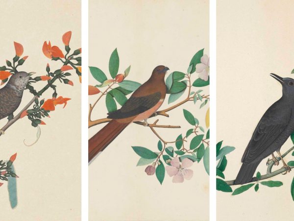 Indian Miniature Painting: The Birds of India