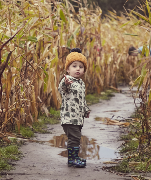 Buy Pumpkin Festival Tickets online Piglets Adventure Farm