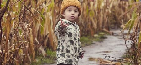 Pumpkin Festival