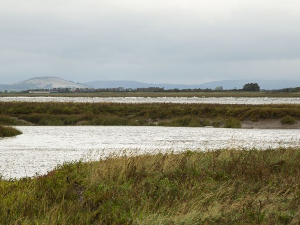 Steart Circular Walk - Celebrating 10 years of the Coast Path in Somerset