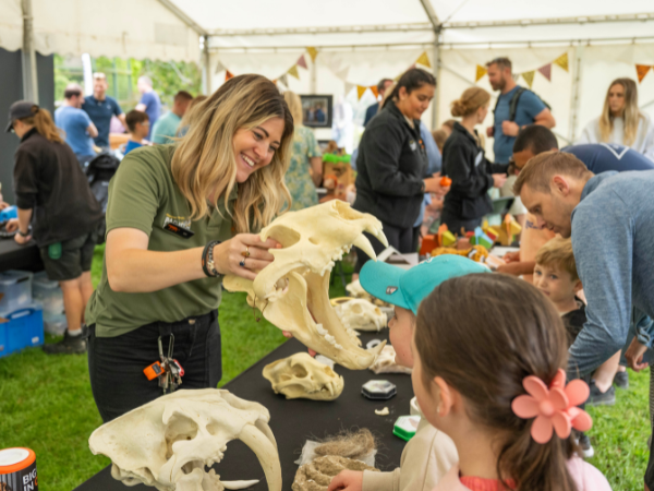 Big Cat Fest -  Friday 31st July