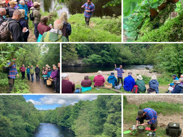 Foraging Walk with Gavin Ireland