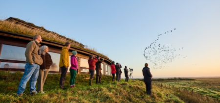 Dawn Flight (WWT Caerlaverock)