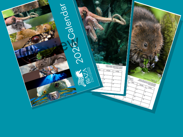 BIAZA 2026 Calendar - PREORDER